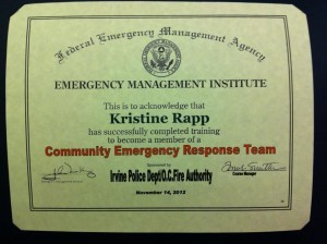 Community Emergency Response Team 