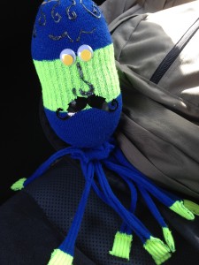 Octopus Sock